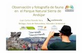 Observación y fotografía de fauna en el Parque Natural ...