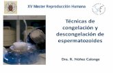 XV Master Reproducción Humana - Dra Rocio Nuñez Calonge