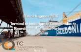 Plan de Negocios 2020 Terminal de Embarque de Concentrados ...