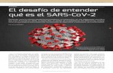 PANDEMIA El desafío de entender qué es el SARS-CoV-2
