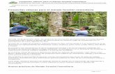 Comparten saberes para el manejo forestal comunitario