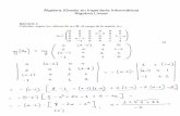 Álgebra (Grado en Ingeniería Informática) Álgebra Lineal