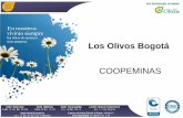 Los Olivos Bogotá - coopeminas.com
