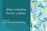 Ácidos Carboxílicos, Ésteres y Amidas