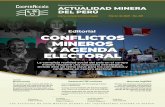 CONFLICTOS MINEROS Y AGENDA ELECTORAL