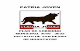 PATRIA JOVEN - declara.jne.gob.pe