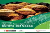 Estudio de Vigilancia Tecnológica en el Cultivo del Cacao