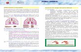 FD-140 Asma laboral