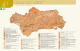Mapa de Suelos de Andalucía