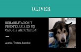 OLIVER - rehabilitacionveterinaria.es