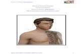 Manual de Anatomia e Fisiologia