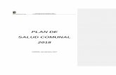 PLAN DE SALUD COMUNAL 2018 - MUNIFREIRE