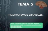 Neuropatología de los traumatismos craneales
