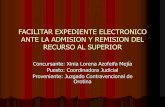 FACILITAR EXPEDIENTE ELECTRONICO ANTE LA ADMISION Y ...