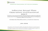 Informe Anual Plan Operativo Institucional 2017