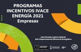 PROGRAMAS INCENTIVOS IVACE .es ENERGÍA 2021 Empresas