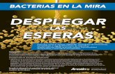 BACTERIAS EN LA MIRA - perioeducationusa.com