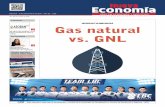 HIDROCARBUROS Gas natural Actualidad vs. GNL