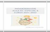 PROGRAMACIÓN AULA ED. ESPECIAL B CURSO 2021-2022