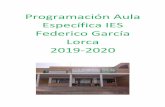 Programación Aula Específica IES Federico García Lorca ...