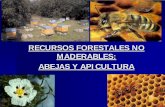 RECURSOS FORESTALES NO MADERABLES: ABEJAS Y …