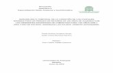 Monografía Seminario II Especialización Medio Ambiente y ...