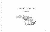 CAPITULO IX - cubangenclub.org