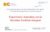 Experiencia Argentina con la RiióTifiIt lRevisión ...