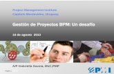 Gestión de Proyectos BPM: Un desafío - pmi.uy