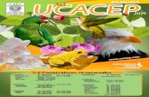 Índice - UCACEP