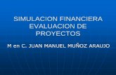 SIMULACION FINANCIERA EVALUACION DE PROYECTOS