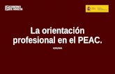 La orientación profesional en el PEAC.