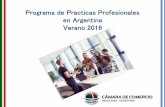 Practicas Profesionales en Argentina Verano 2016