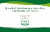 Obesidad, Resistencia a la Insulina, y la diabetes en la ERC