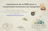 Importancia de la RNEI para la Universidad Autónoma de ...