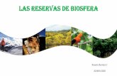 Las reservas de biosfera
