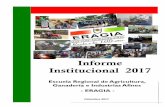 Informe Institucional 2017 - eragia.unne.edu.ar