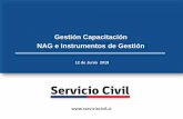 Gestión Capacitación NAG e Instrumentos de Gestión