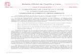 Boletín Oficial de Castilla y León - Coaatsa