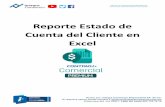 Reporte Estado de Cuenta del Cliente en Excel