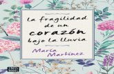 La fragilidad de un corazón bajo la lluvia (Spanish Edition)