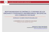 RESPONSABILIDAD ECONÓMICO-CONTABLE DE LOS ÓRGANOS ...