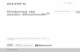 Sistema de Instrucciones de uso ES audio Bluetooth