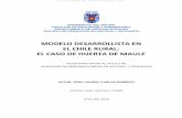 MODELO DESARROLLISTA EN EL CHILE RURAL: EL CASO DE …