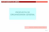 PROPUESTA DE ORGANIGRAMA GENERAL