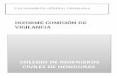 INFORME COMISIÓN DE VIGILANCIA - CICH