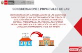 CONSIDERACIONES PRINCIPALES DE LAS