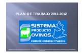 PLAN DE TRABAJO 2011-2012 - spo.uno.org.mx