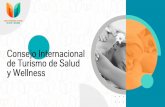 Consejo Internacional de Turismo de Salud y Wellness