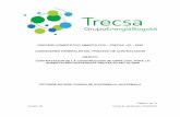 PROCESO COMPETITIVO ABIERTO PCA TRECSA 07 2020 …